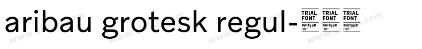 aribau grotesk regul字体转换